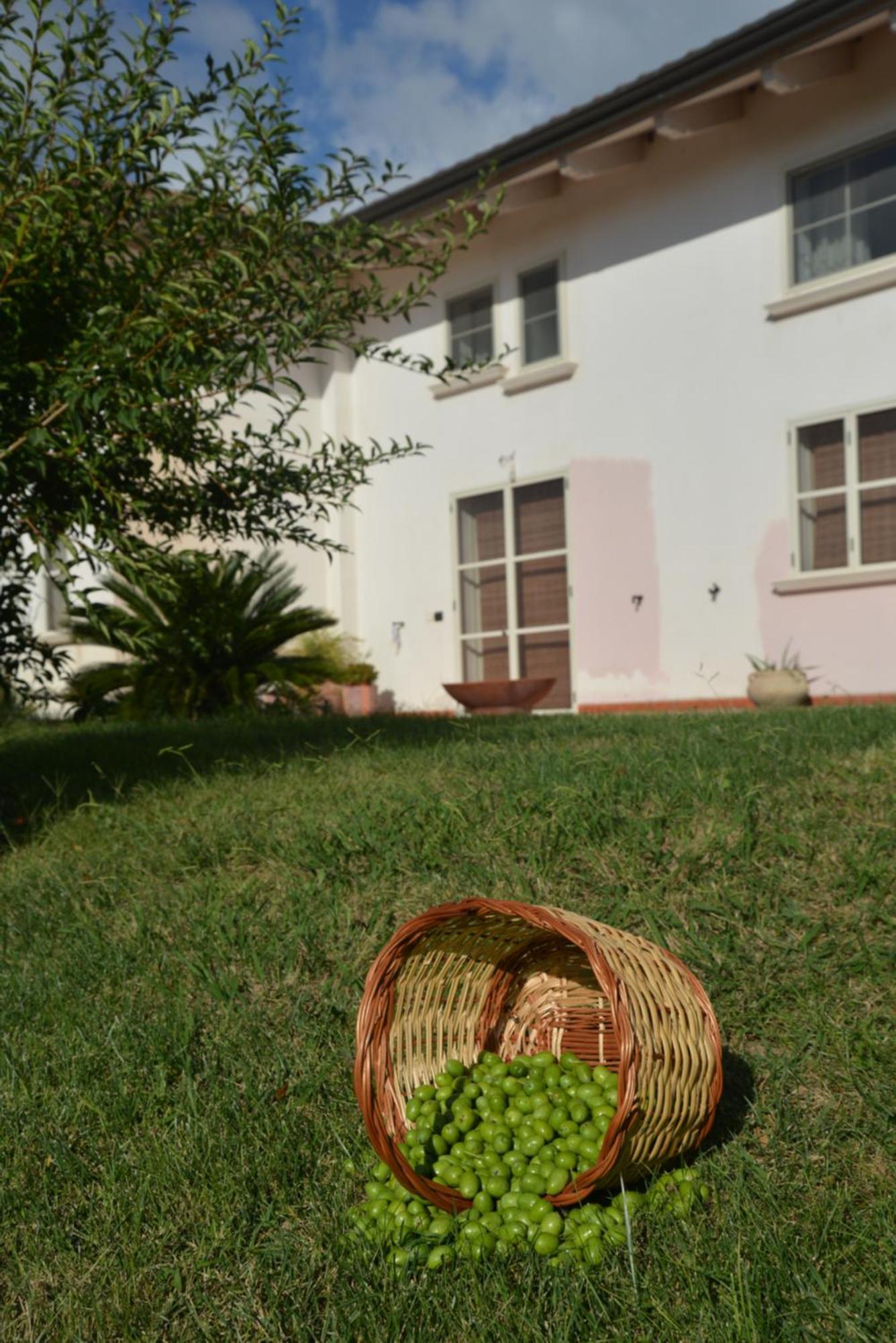 B&B Macchia D'Olmo Capaccio Eksteriør billede