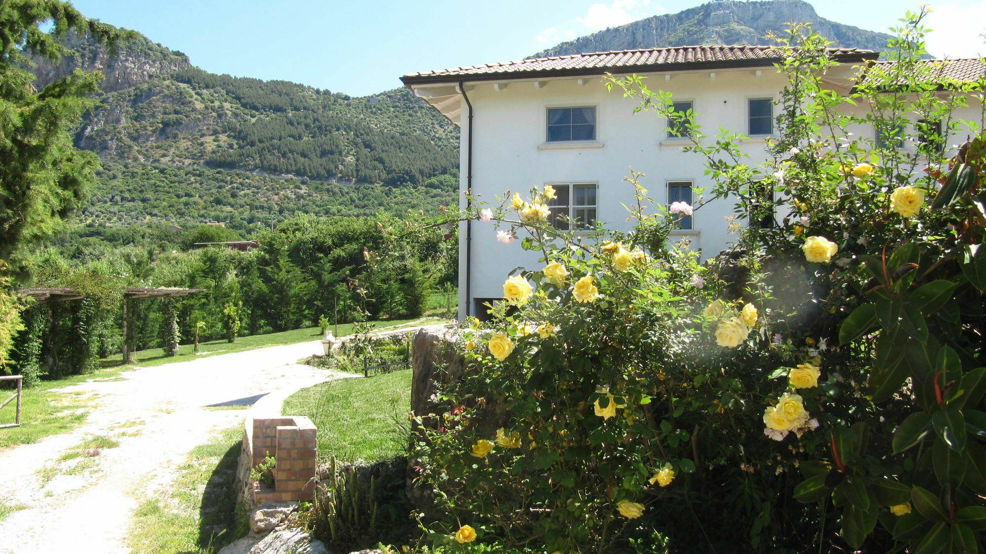 B&B Macchia D'Olmo Capaccio Eksteriør billede
