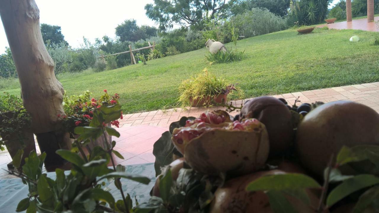 B&B Macchia D'Olmo Capaccio Eksteriør billede