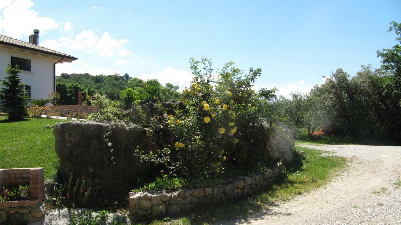 B&B Macchia D'Olmo Capaccio Eksteriør billede